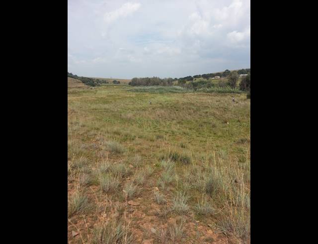 1,939HA FARM FOR SALE IN LEEUPORT